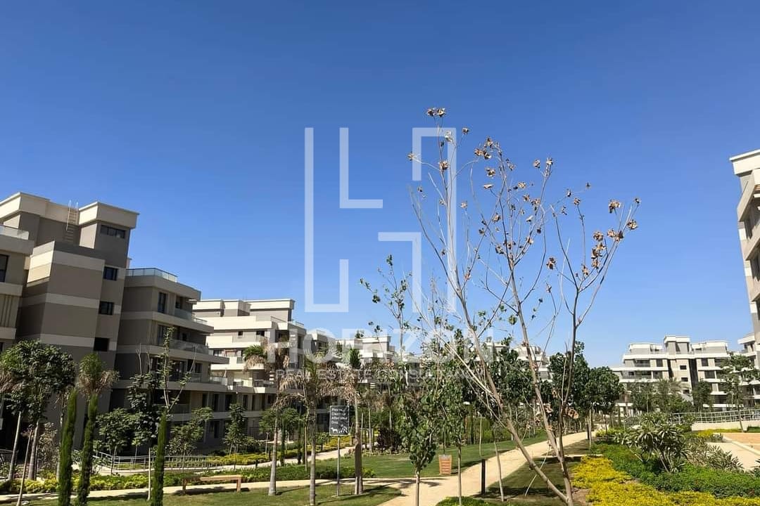 WhatsApp Image 2023-10-09 at 2.41.26 PM (1)