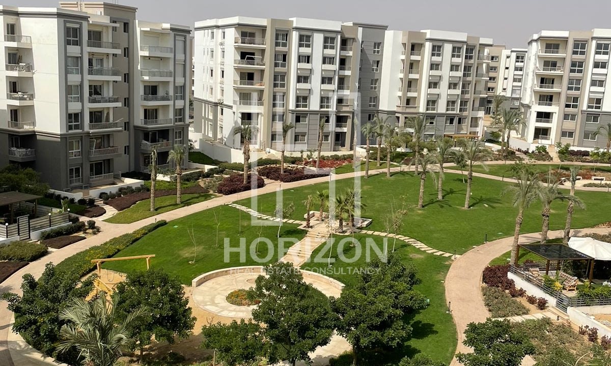 WhatsApp Image 2025-01-12 at 5.31.44 PM (1)