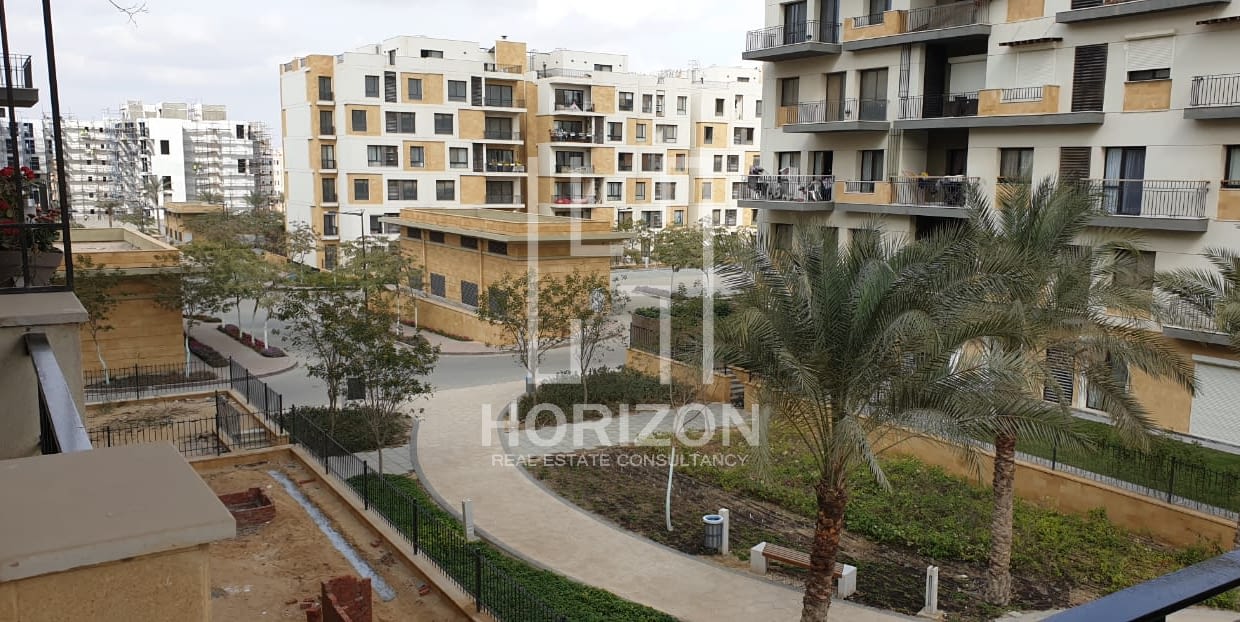 WhatsApp Image 2024-01-31 at 1.51.47 AM (1)