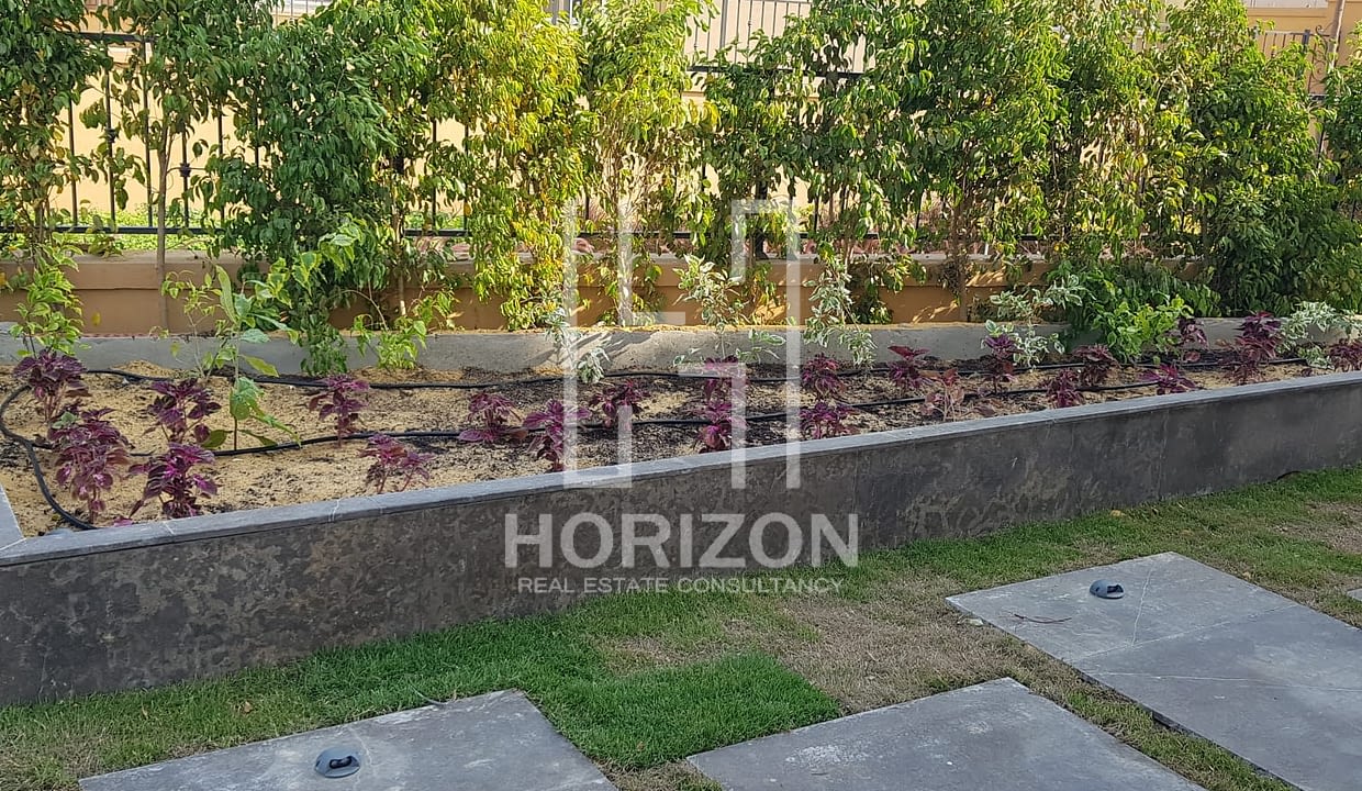 WhatsApp Image 2025-07-15 at 3.58.44 PM