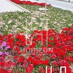I-Villa Garden for sale in Mountain View Hyde Park