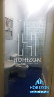 Apartment for rent in Al Rehab City New Cairo