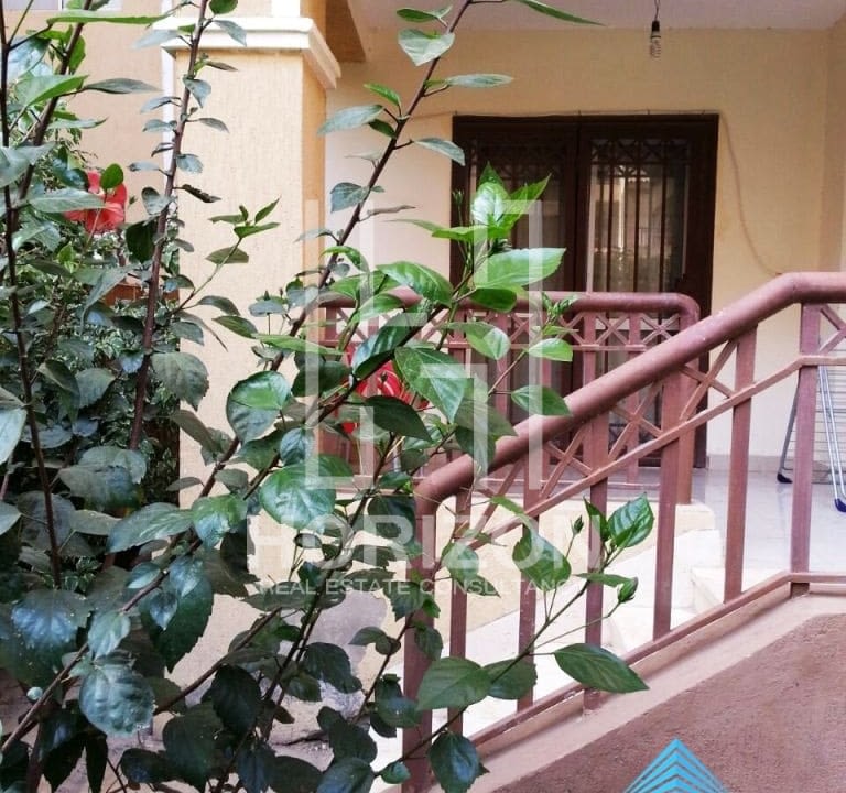 Apartment for rent in Madinaty New Cairo