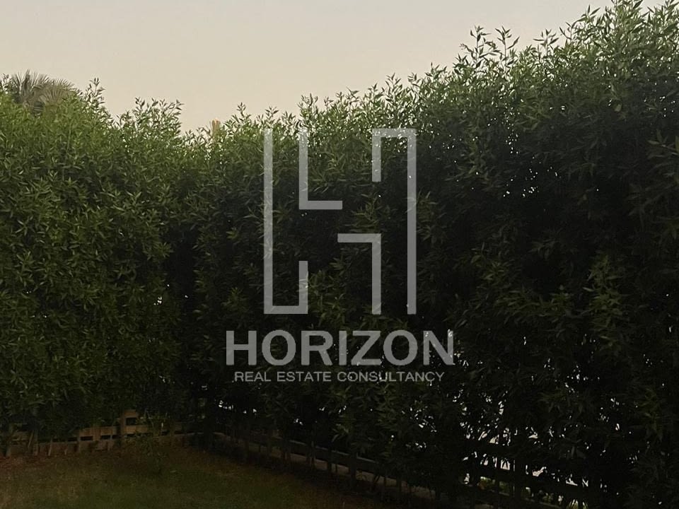 WhatsApp Image 2024-11-20 at 5.06.49 PM